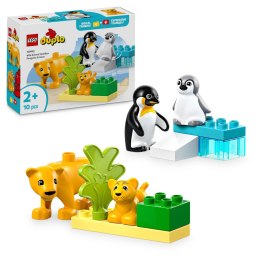 LEGO 10442 DUPLO Rodziny dzikich zwierząt: pingwiny i lwy