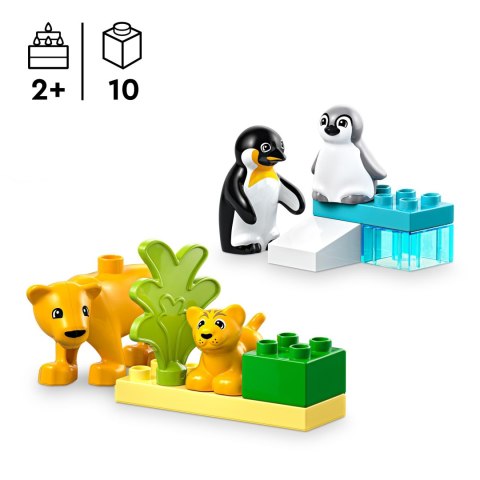 LEGO 10442 DUPLO Rodziny dzikich zwierząt: pingwiny i lwy LEGO 10442 DUPLO Rodziny dzikich zwierząt: pingwiny i lwy