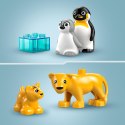 LEGO 10442 DUPLO Rodziny dzikich zwierząt: pingwiny i lwy