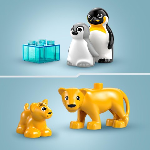 LEGO 10442 DUPLO Rodziny dzikich zwierząt: pingwiny i lwy LEGO 10442 DUPLO Rodziny dzikich zwierząt: pingwiny i lwy