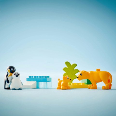 LEGO 10442 DUPLO Rodziny dzikich zwierząt: pingwiny i lwy LEGO 10442 DUPLO Rodziny dzikich zwierząt: pingwiny i lwy