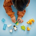 LEGO 10442 DUPLO Rodziny dzikich zwierząt: pingwiny i lwy