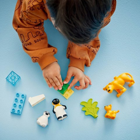LEGO 10442 DUPLO Rodziny dzikich zwierząt: pingwiny i lwy LEGO 10442 DUPLO Rodziny dzikich zwierząt: pingwiny i lwy