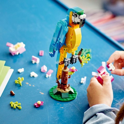 LEGO 31136 CREATOR 3w1 Egzotyczna papuga LEGO 31136 CREATOR 3w1 Egzotyczna papuga